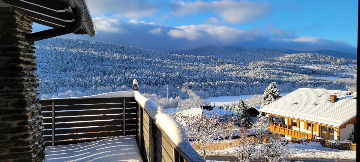 BayVista, die Bayerwald Lodge in Lam