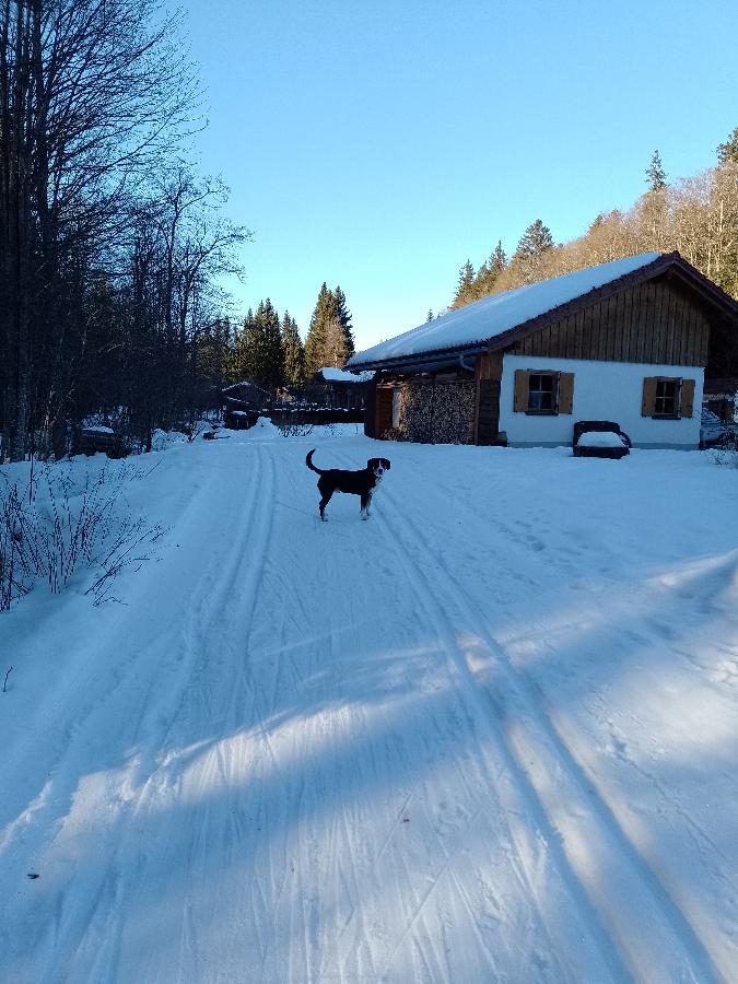 Ferienwohnung Hüttenzauber (Fürst) in Lindberg
