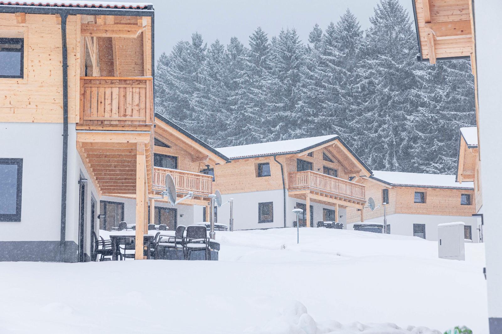 Englmar Chalets in Sankt Englmar