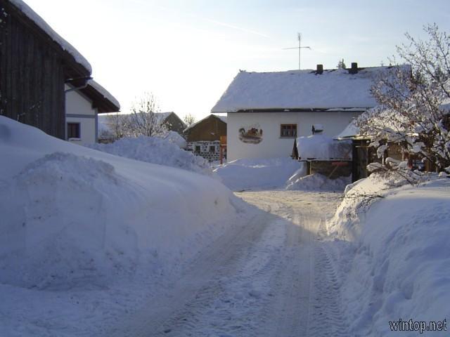 Scholler Hof in Waldkirchen