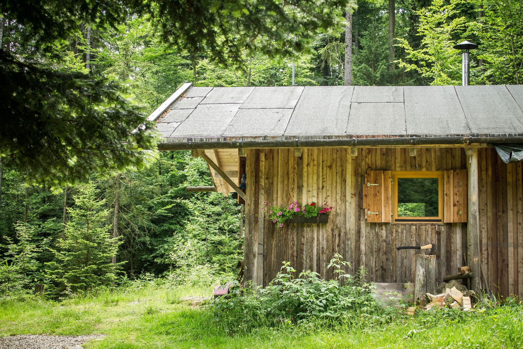 Zum Veitbauern in Lam