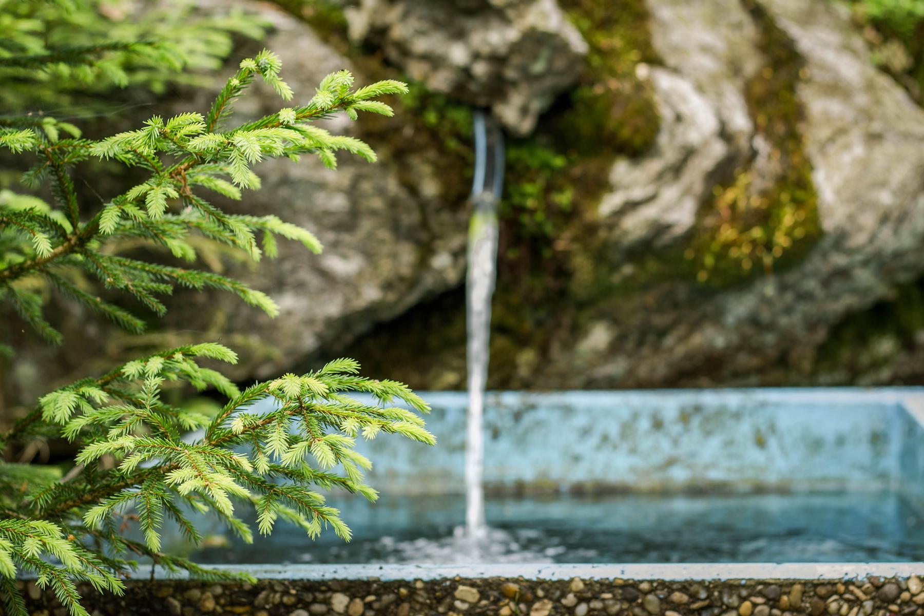 Zum Veitbauern in Lam