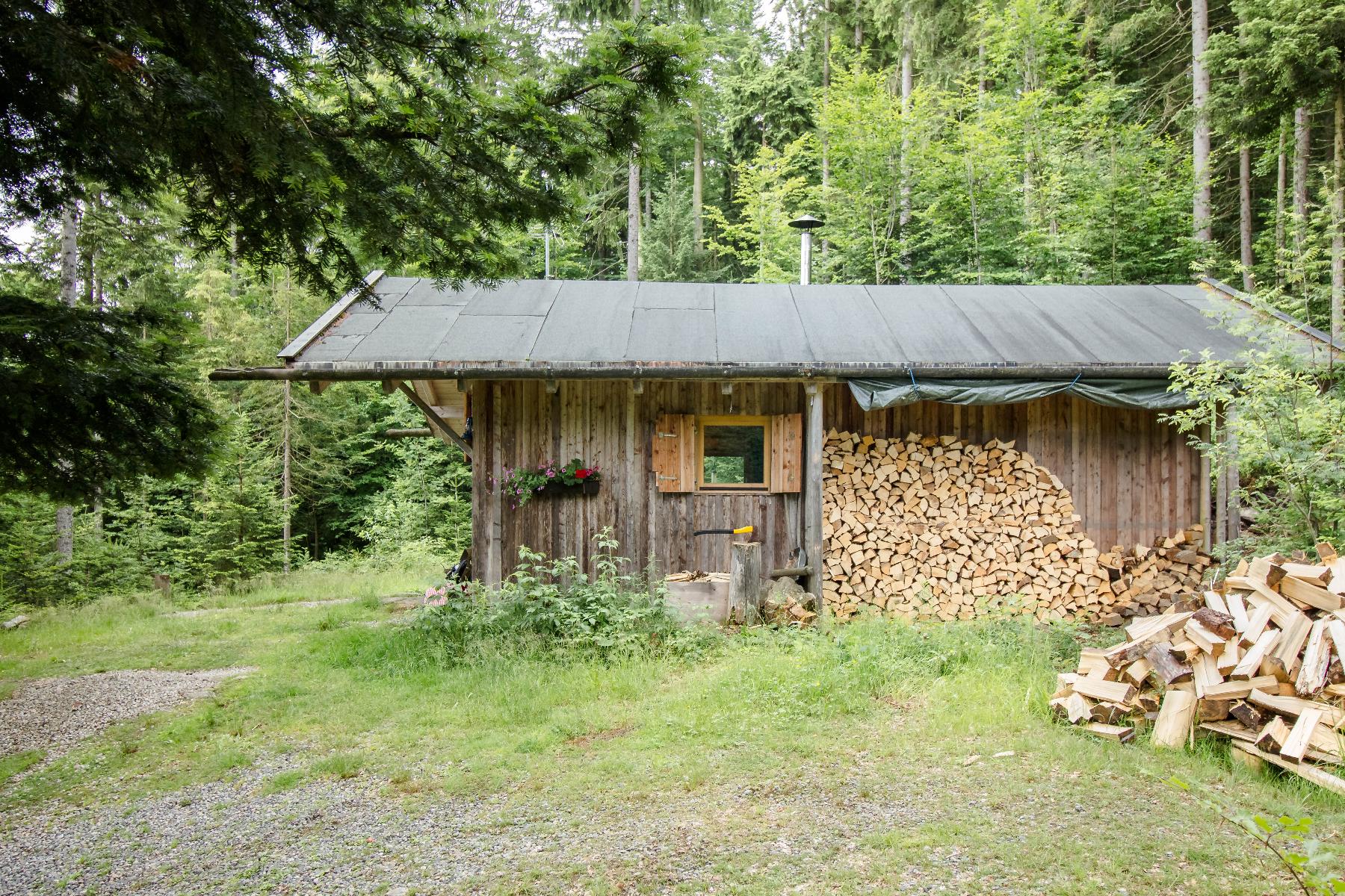 Zum Veitbauern in Lam