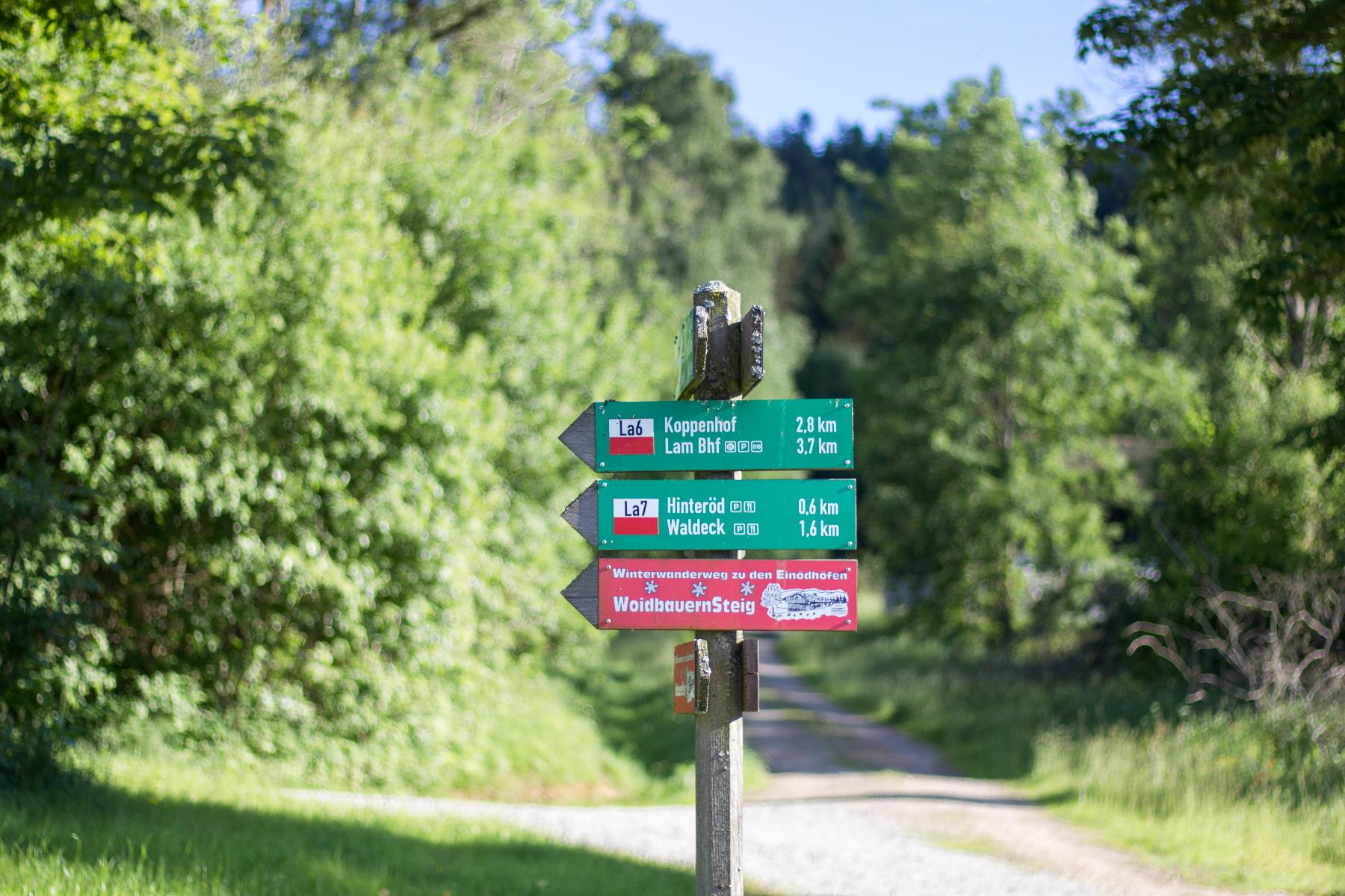 Zum Ödbauern in Lam