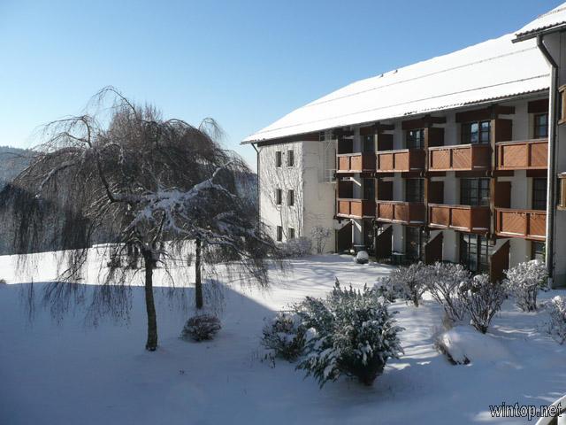 Michel & Friends Hotel Waldkirchen in Waldkirchen