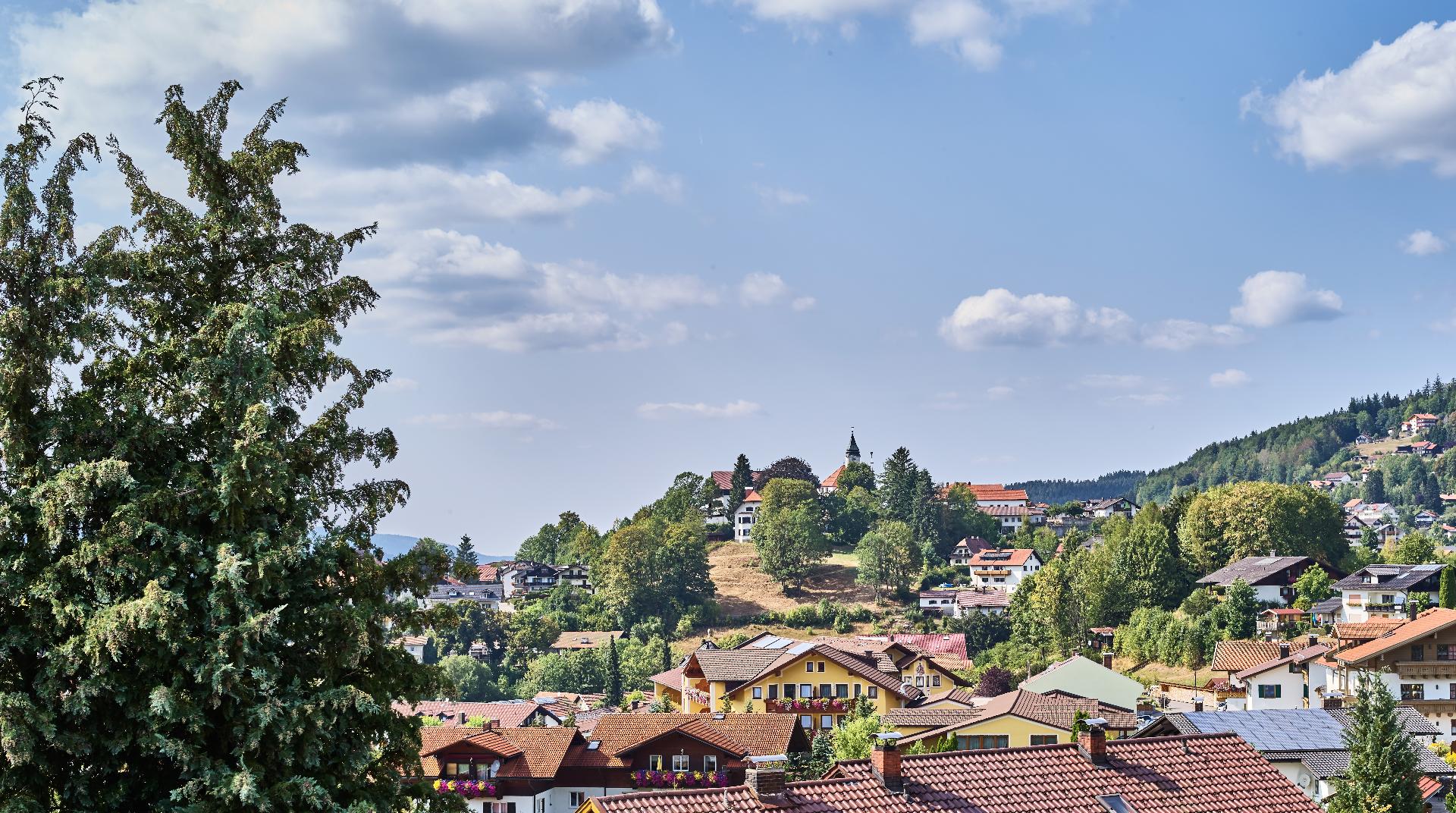 Ferienwohnungen Ambrosius in Bodenmais