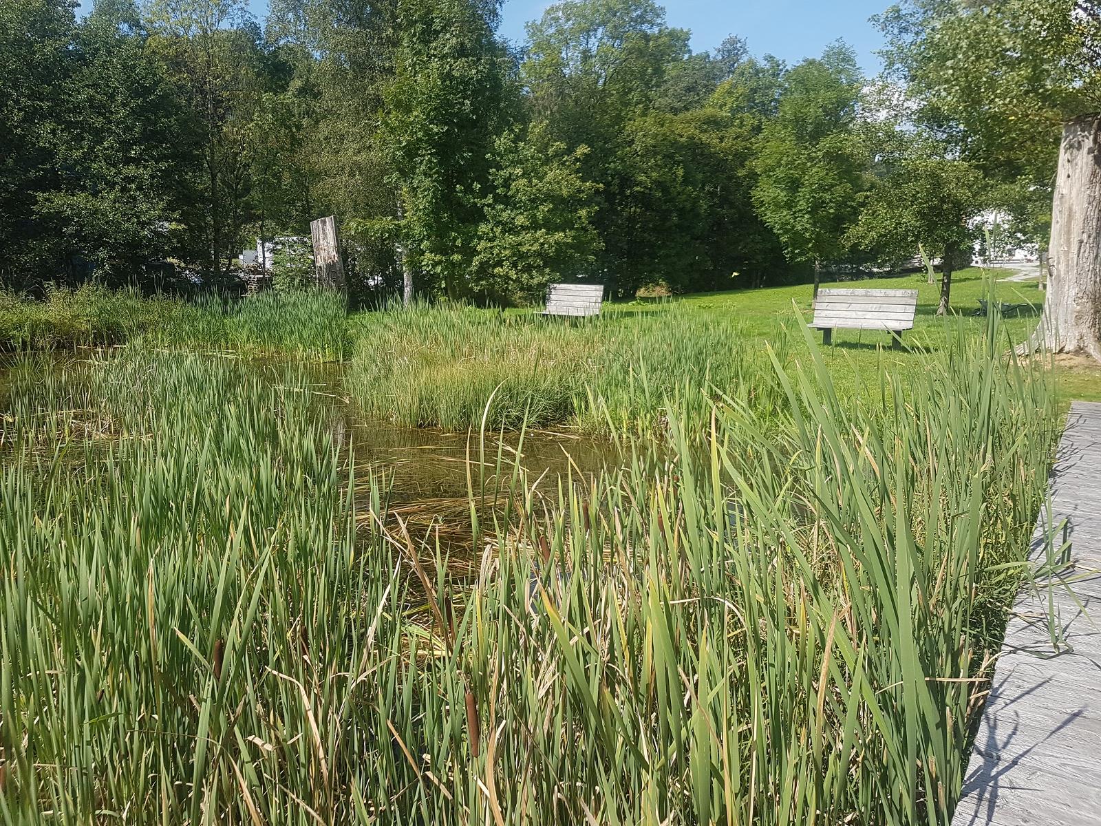 Ferienwohnung Toni in Freyung