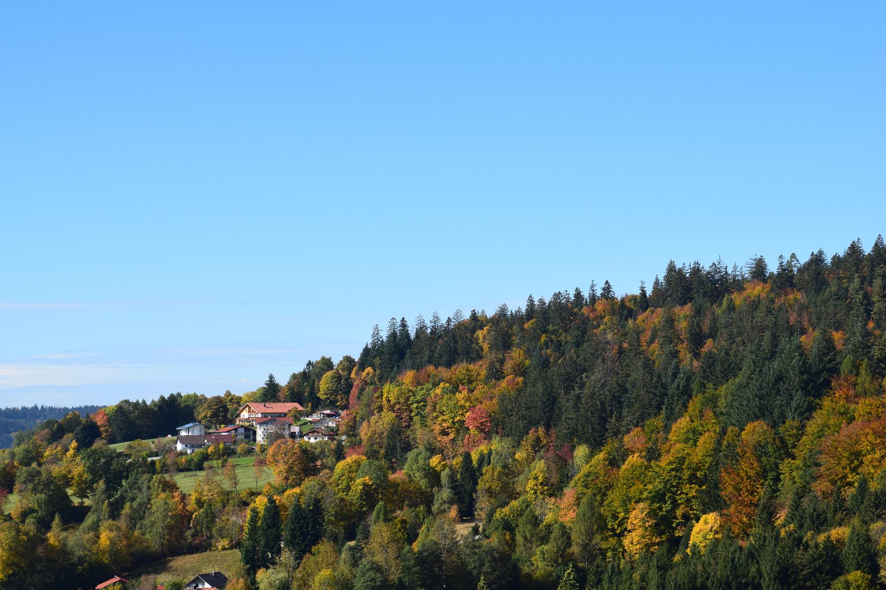 Ferienwohnungen Geiger -