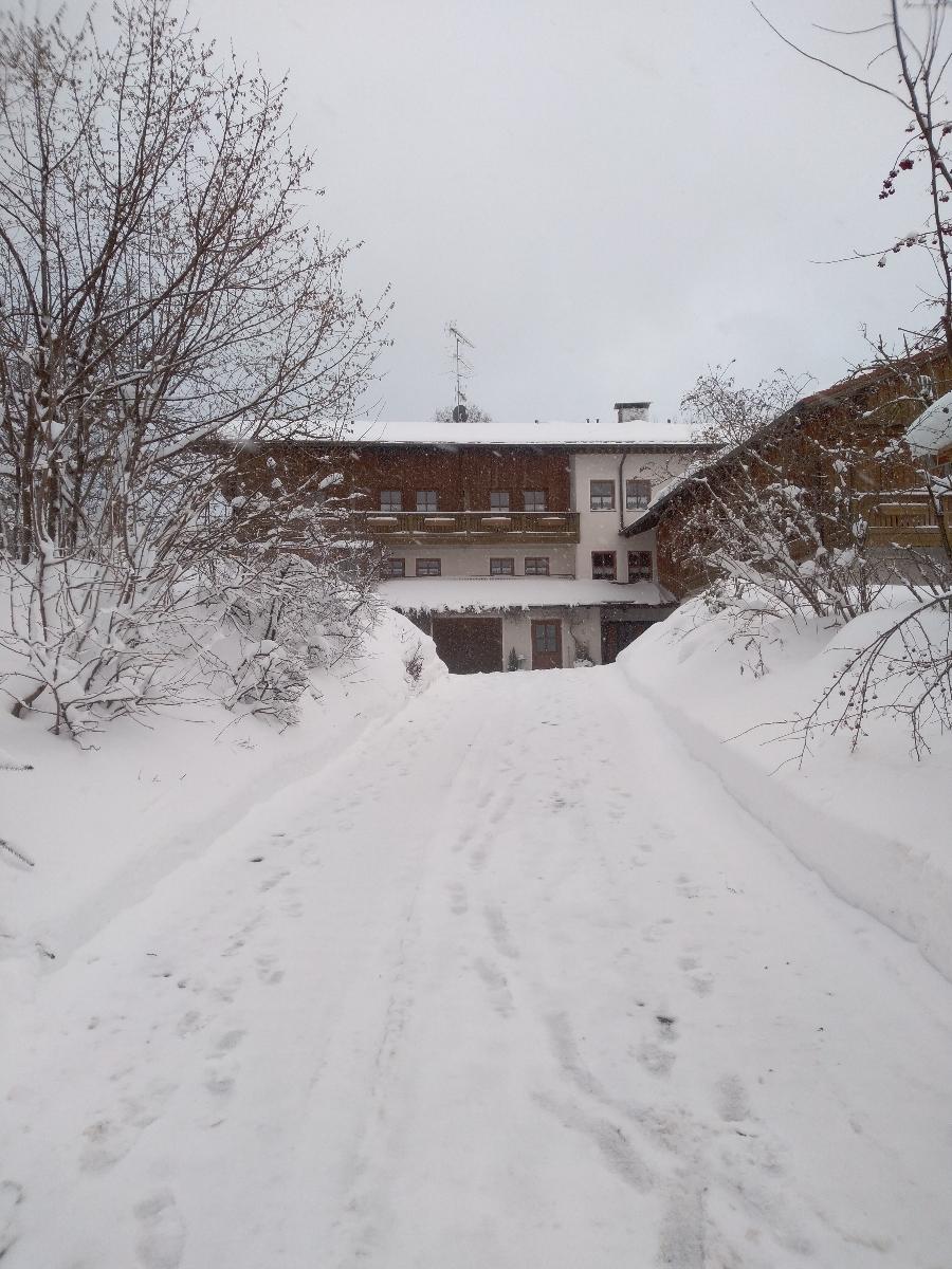 Pension Egner-Rieß in Arnbruck