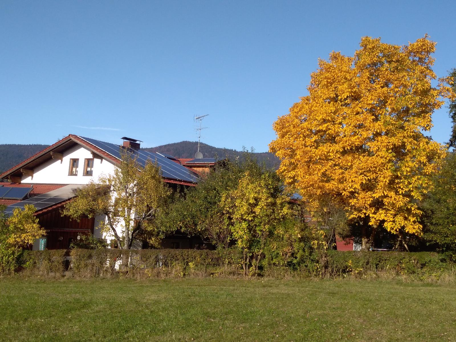 Pension Egner-Rieß in Arnbruck
