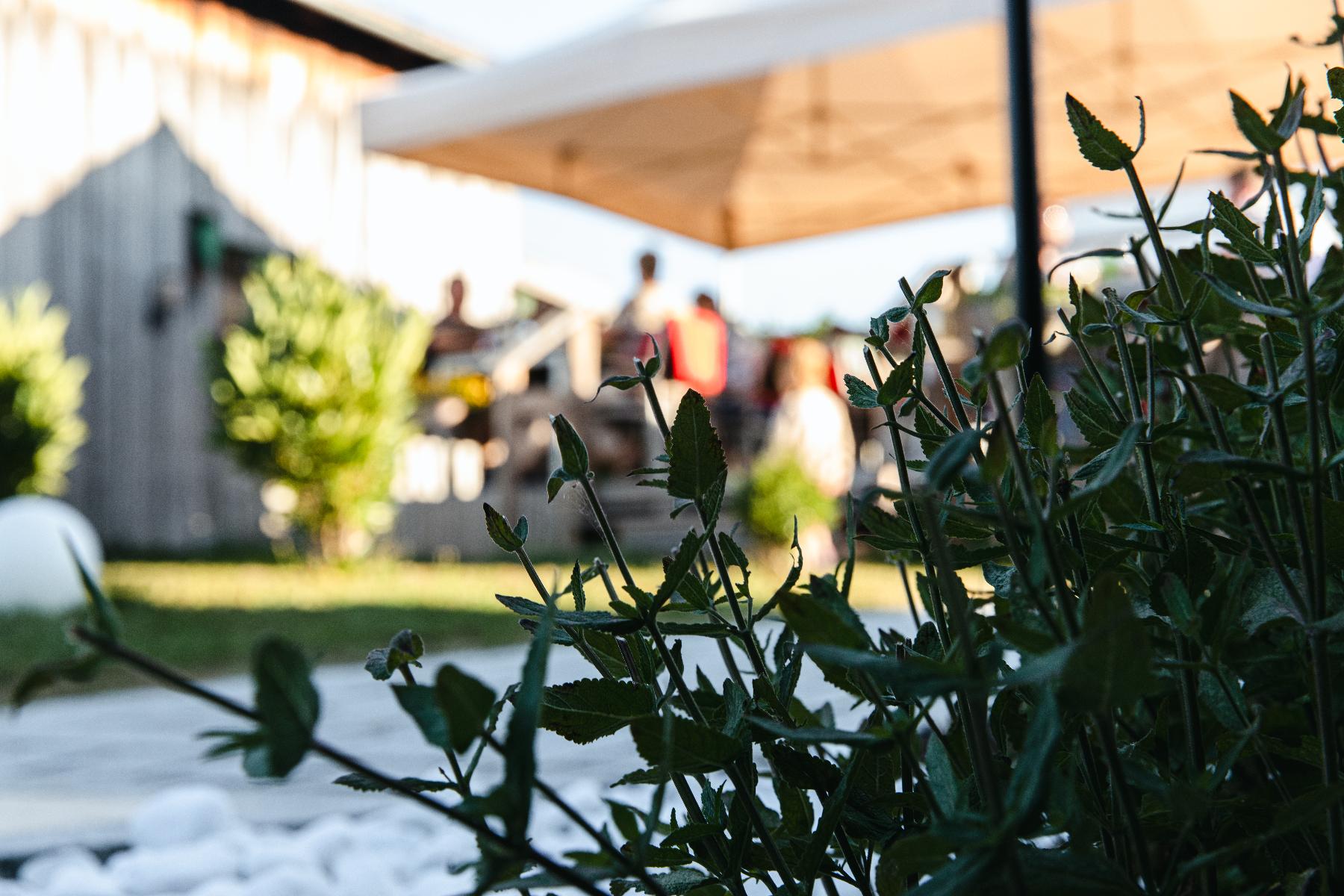 Genusshotel-Hohenbogen in Neukirchen beim Heiligen Blut