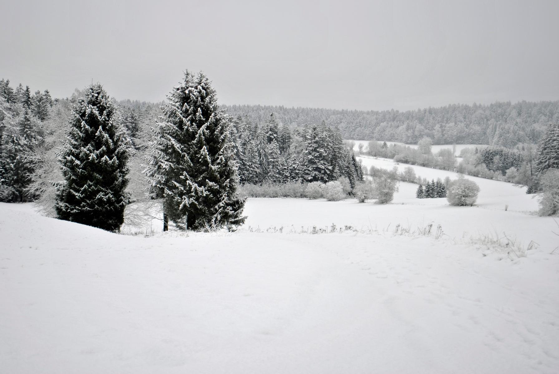 Fewo Radi an der Buchberger Leite in Hohenau