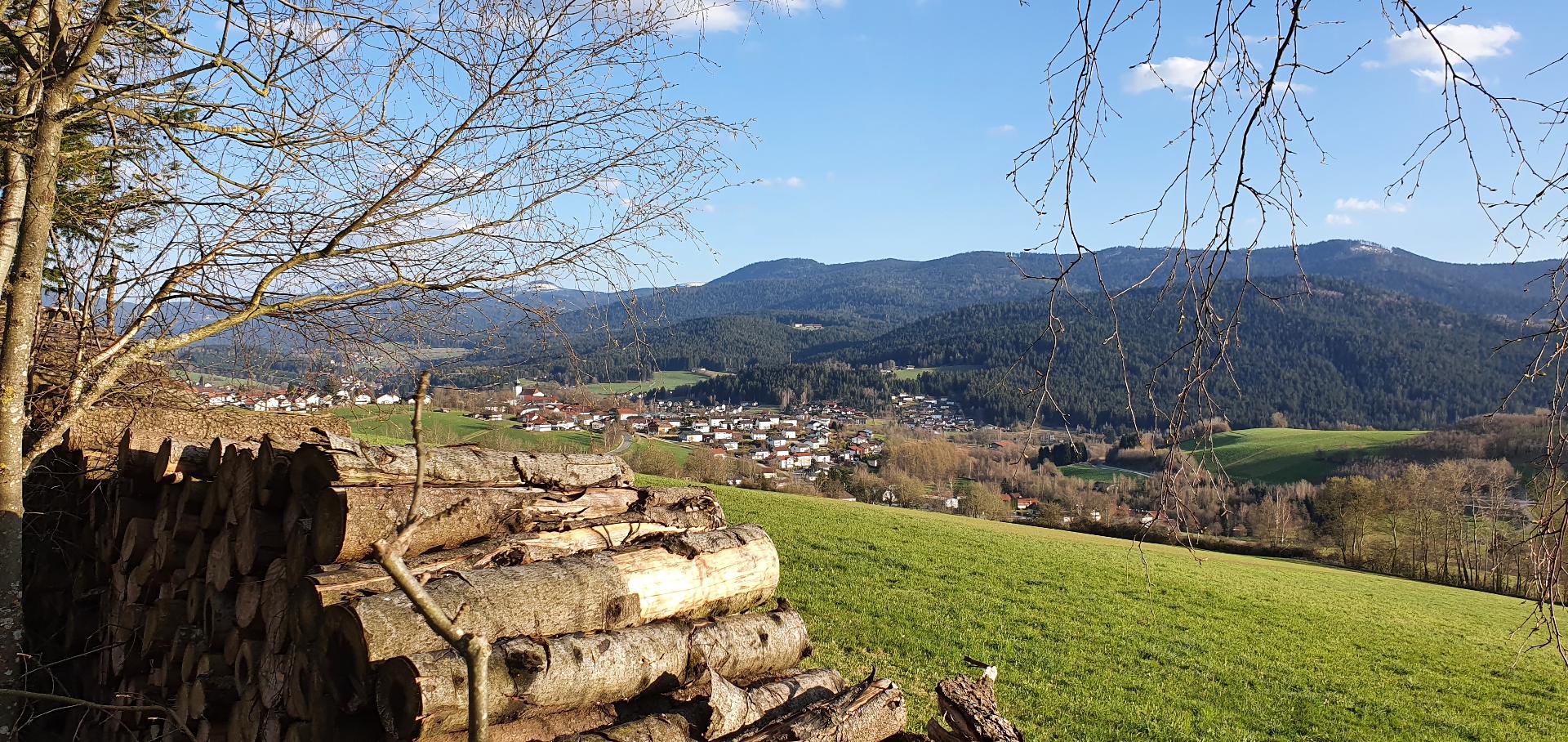 Hotel zur Post in Lam
