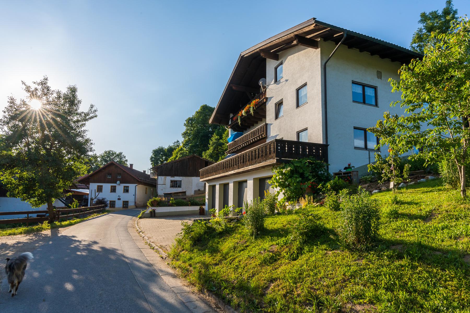 Ferien- und Reiterhof Seidl in Hohenwarth