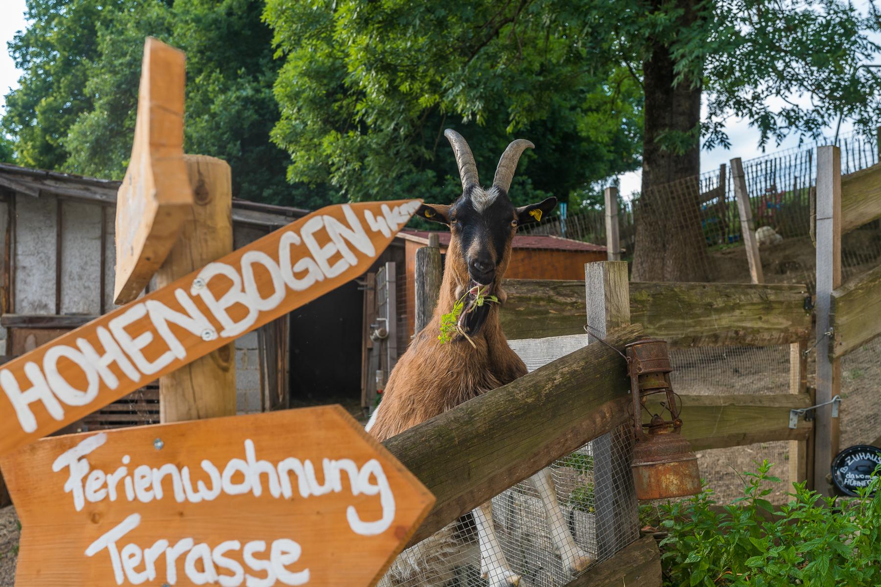 Ferien- und Reiterhof Seidl in Hohenwarth