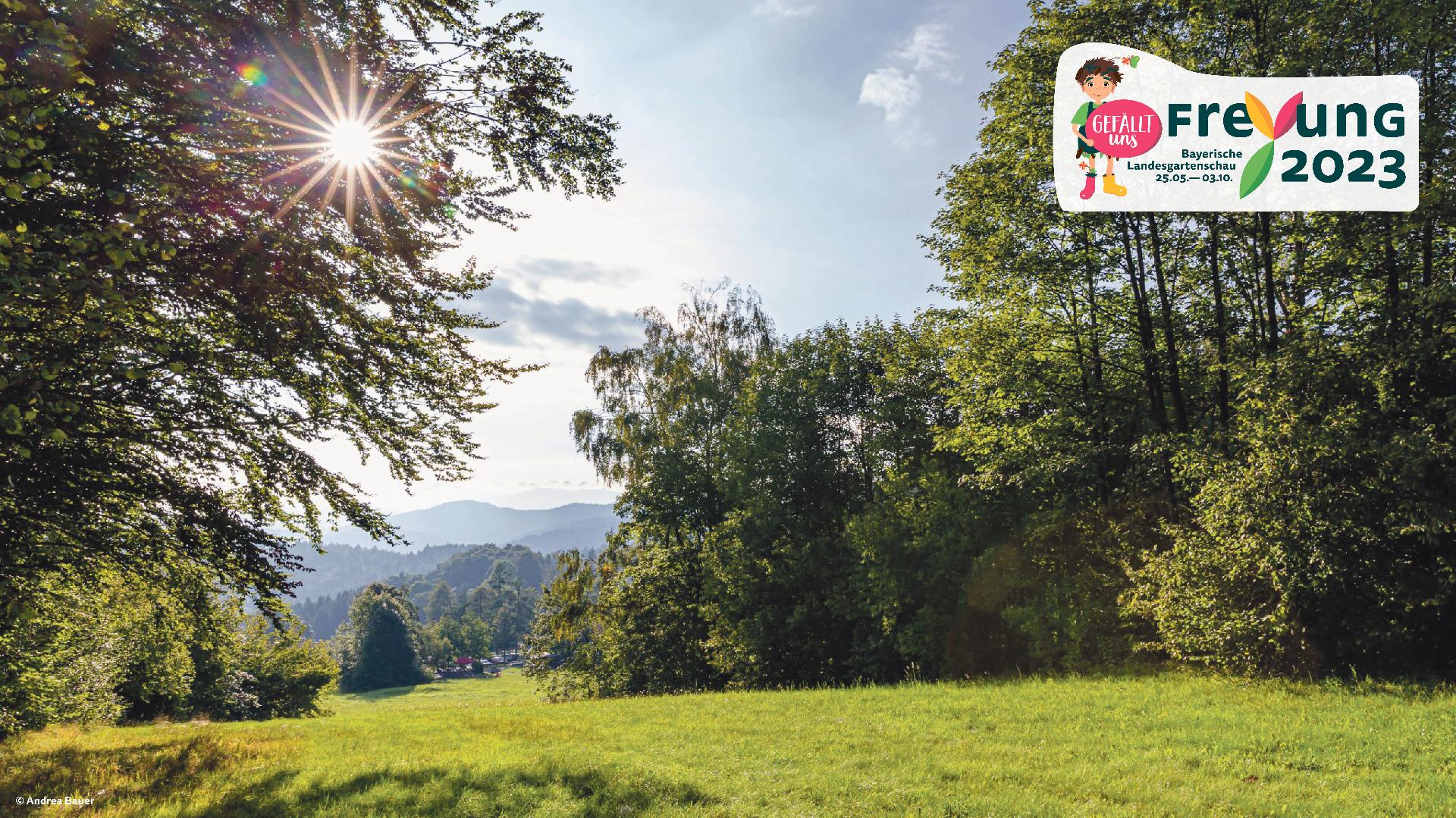 Ferienwohnungen Bayerischer Wald mit Pool in Freyung