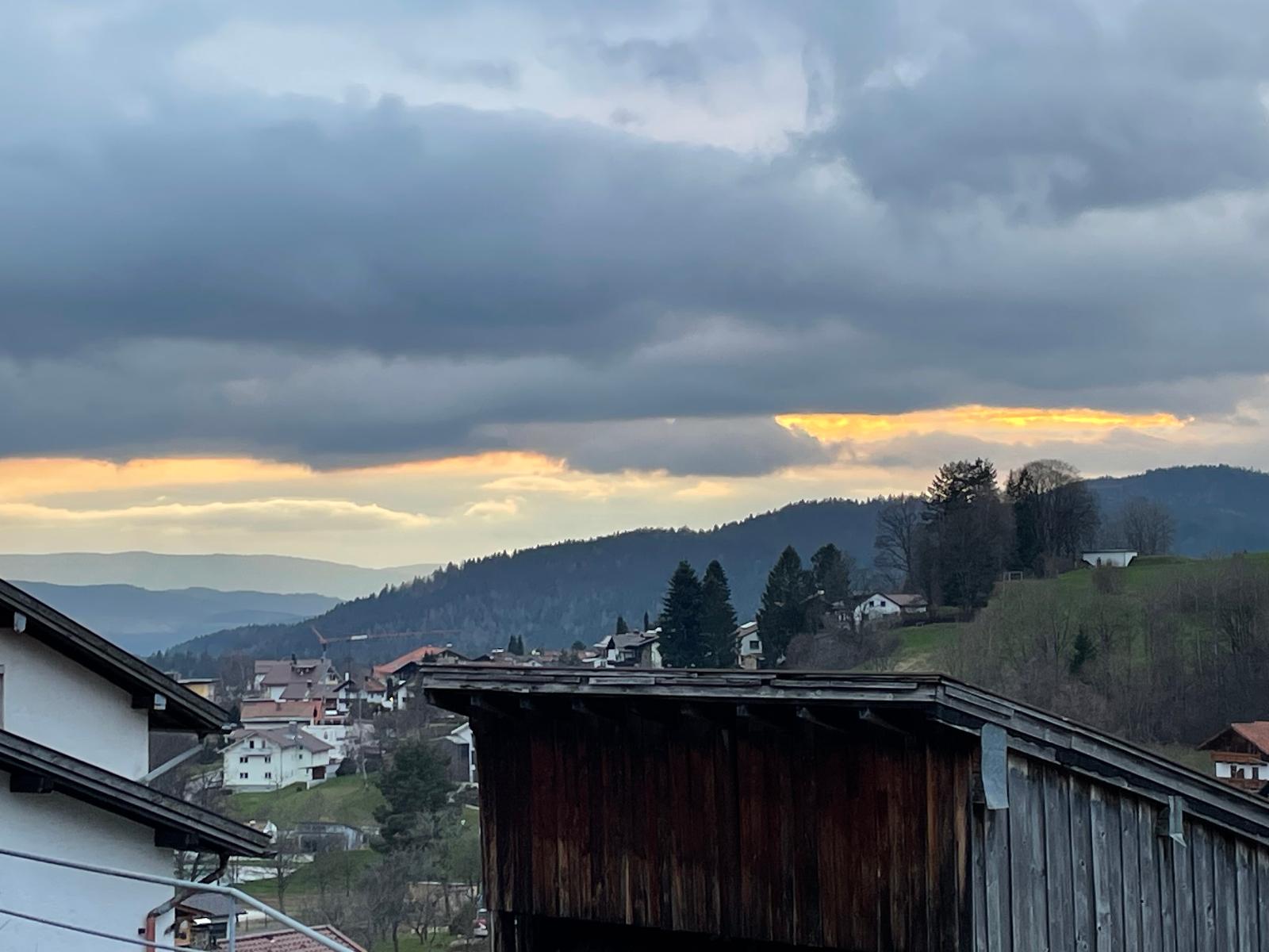 Arberflimmern in Bodenmais