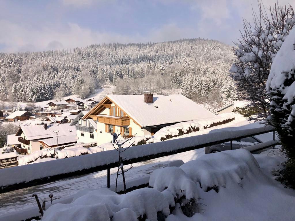 Arberflimmern in Bodenmais