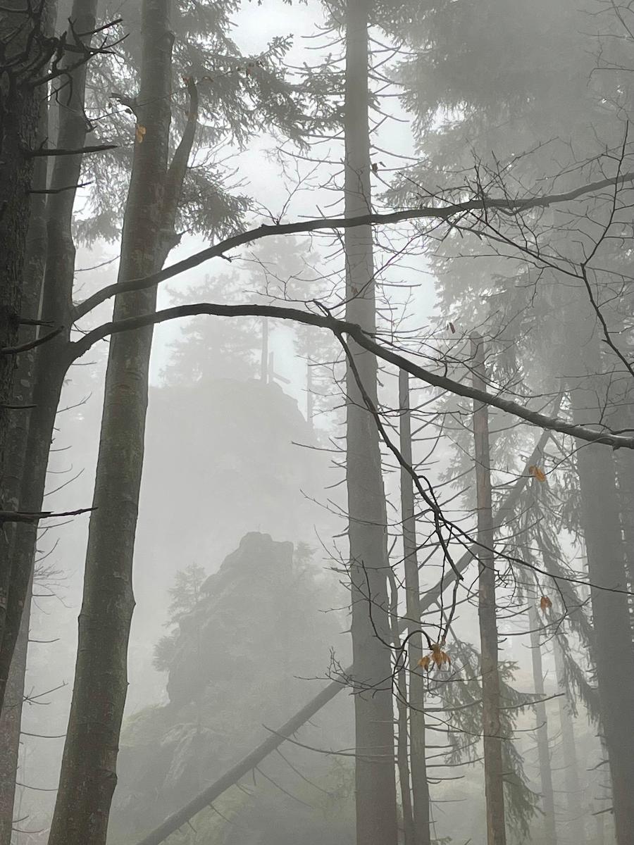 Arberflimmern in Bodenmais