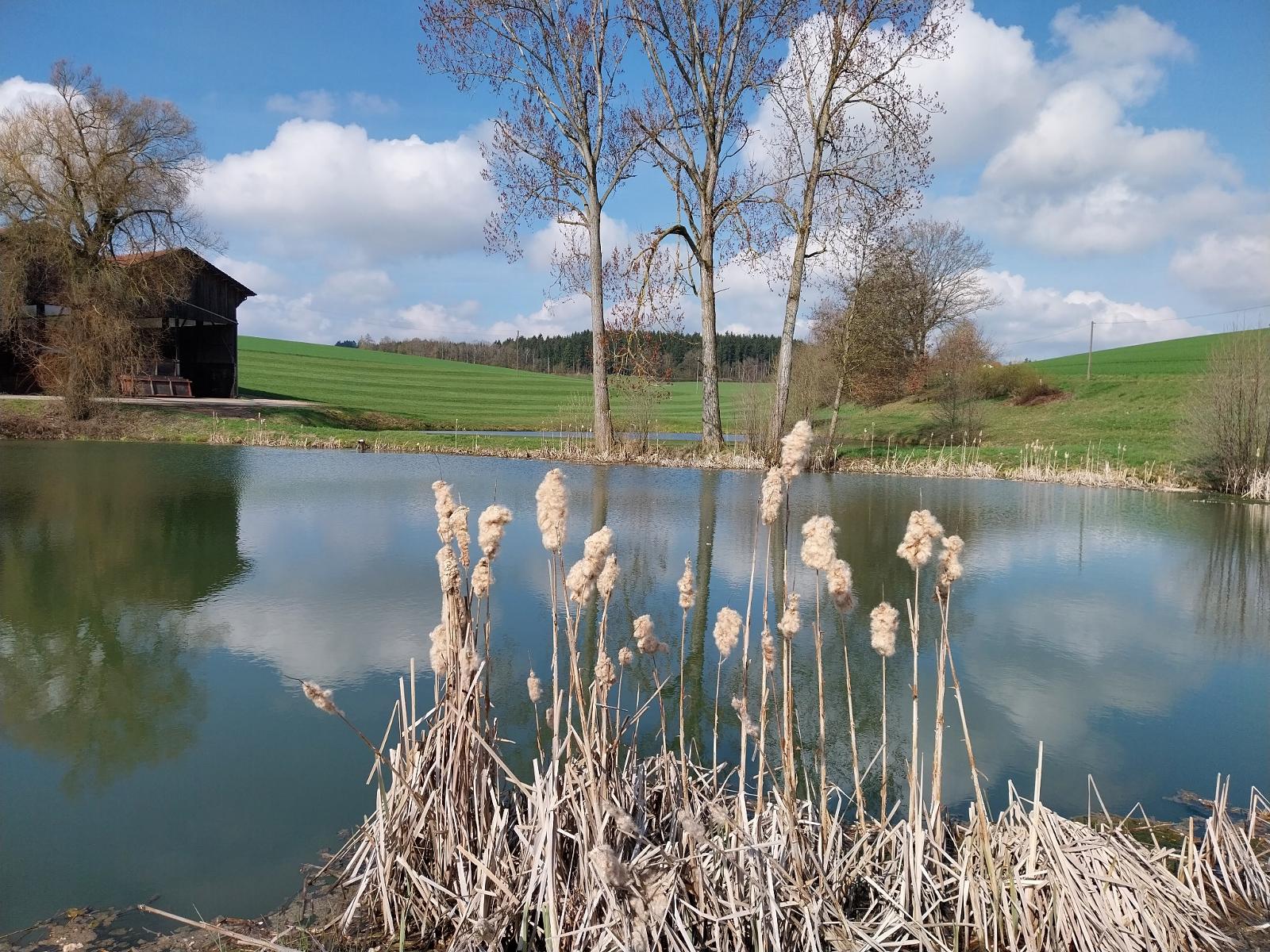 Gschwandnerhof  in Michelsneukirchen