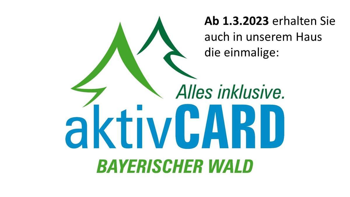 Chalet Hüttendorf 49 gradnord in Bayerisch Eisenstein