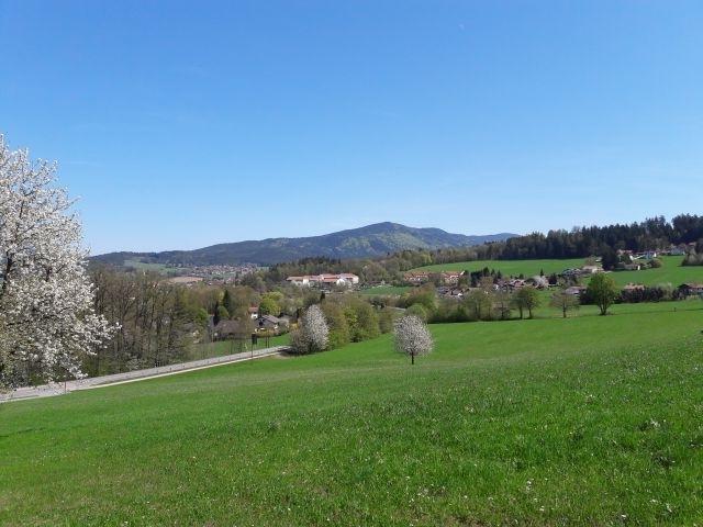 Zitzelsberger Gerda in Bad Kötzting