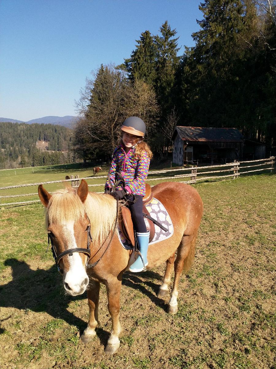 Ponyhof Killinger  in Zwiesel