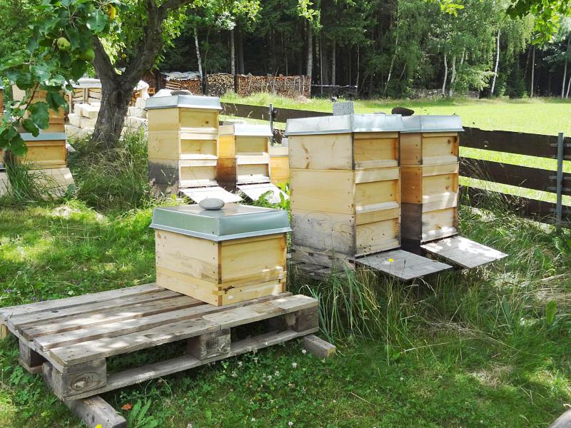 Bergmann, Erika in Lam