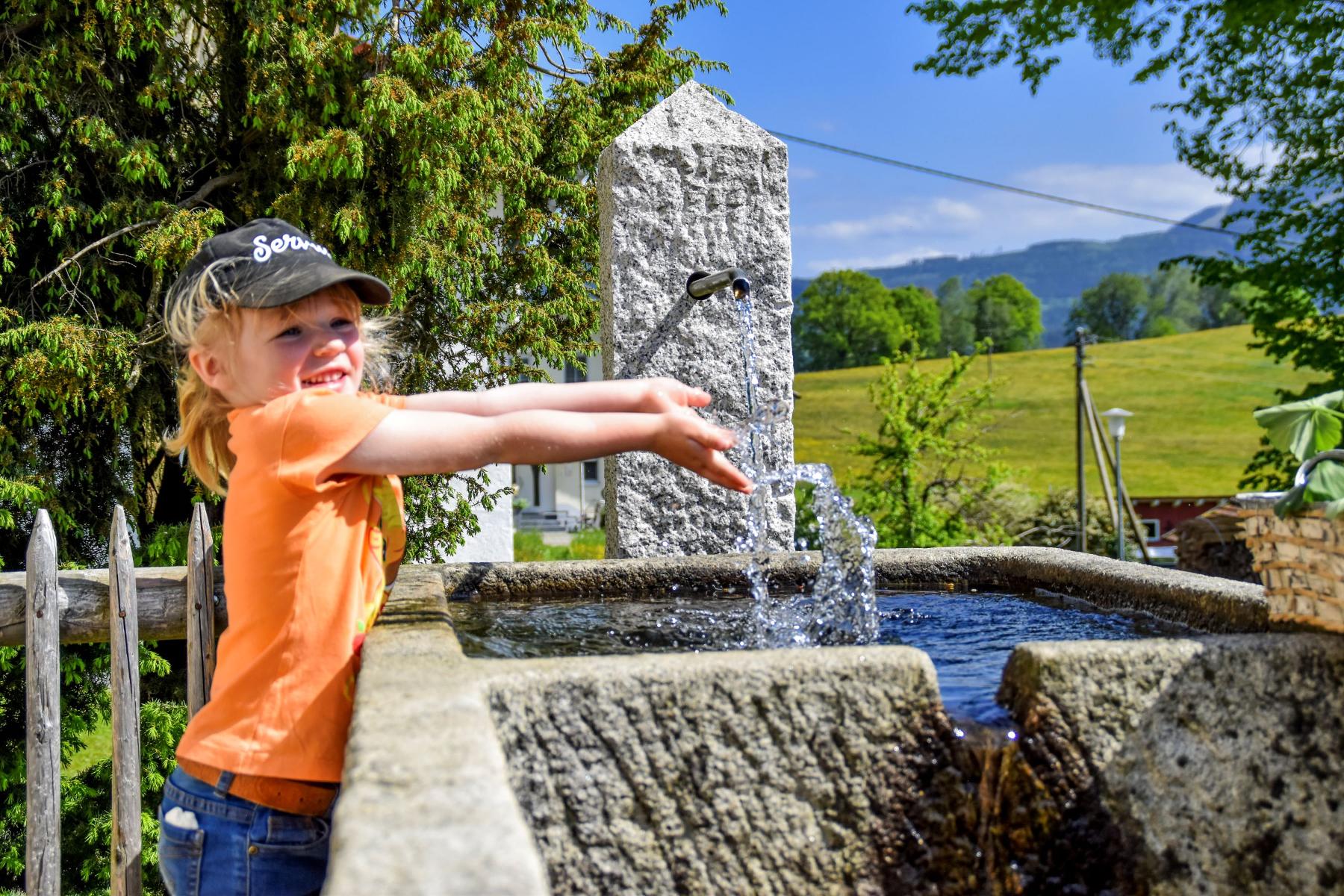 Urlaub auf dem Haberlhof in Lohberg