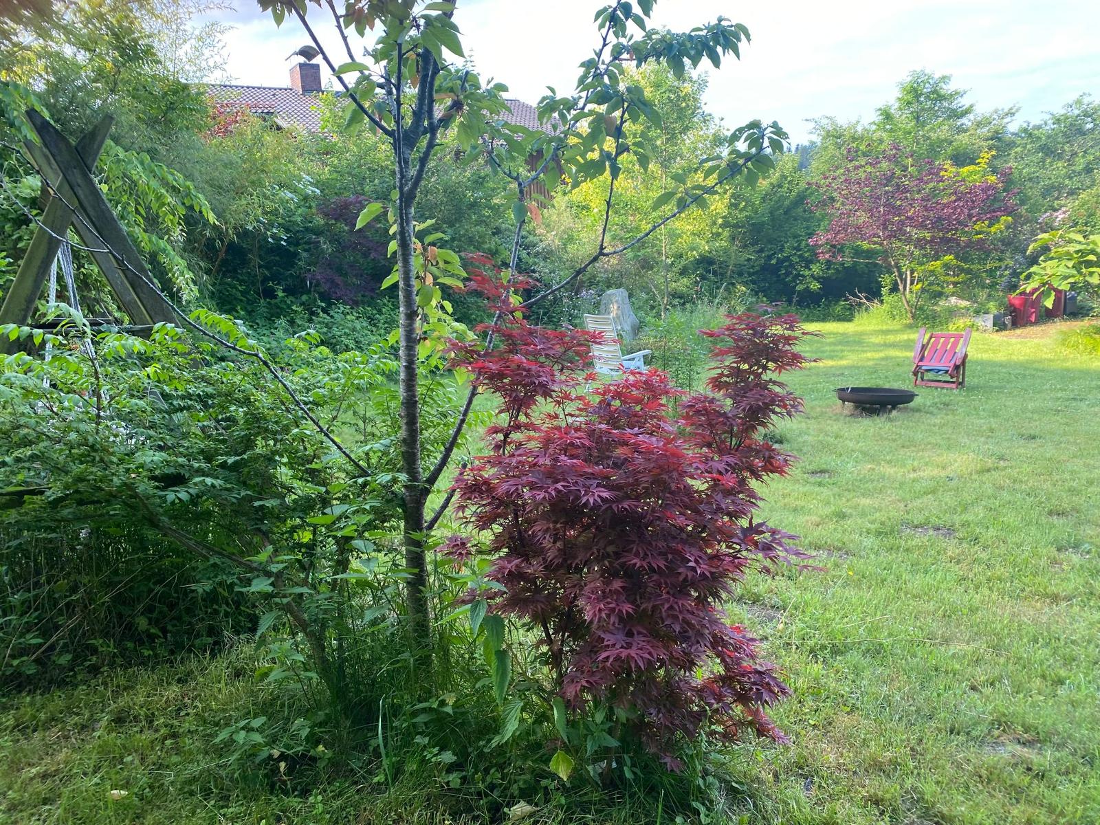 Fewo Waldzauber in Waldkirchen