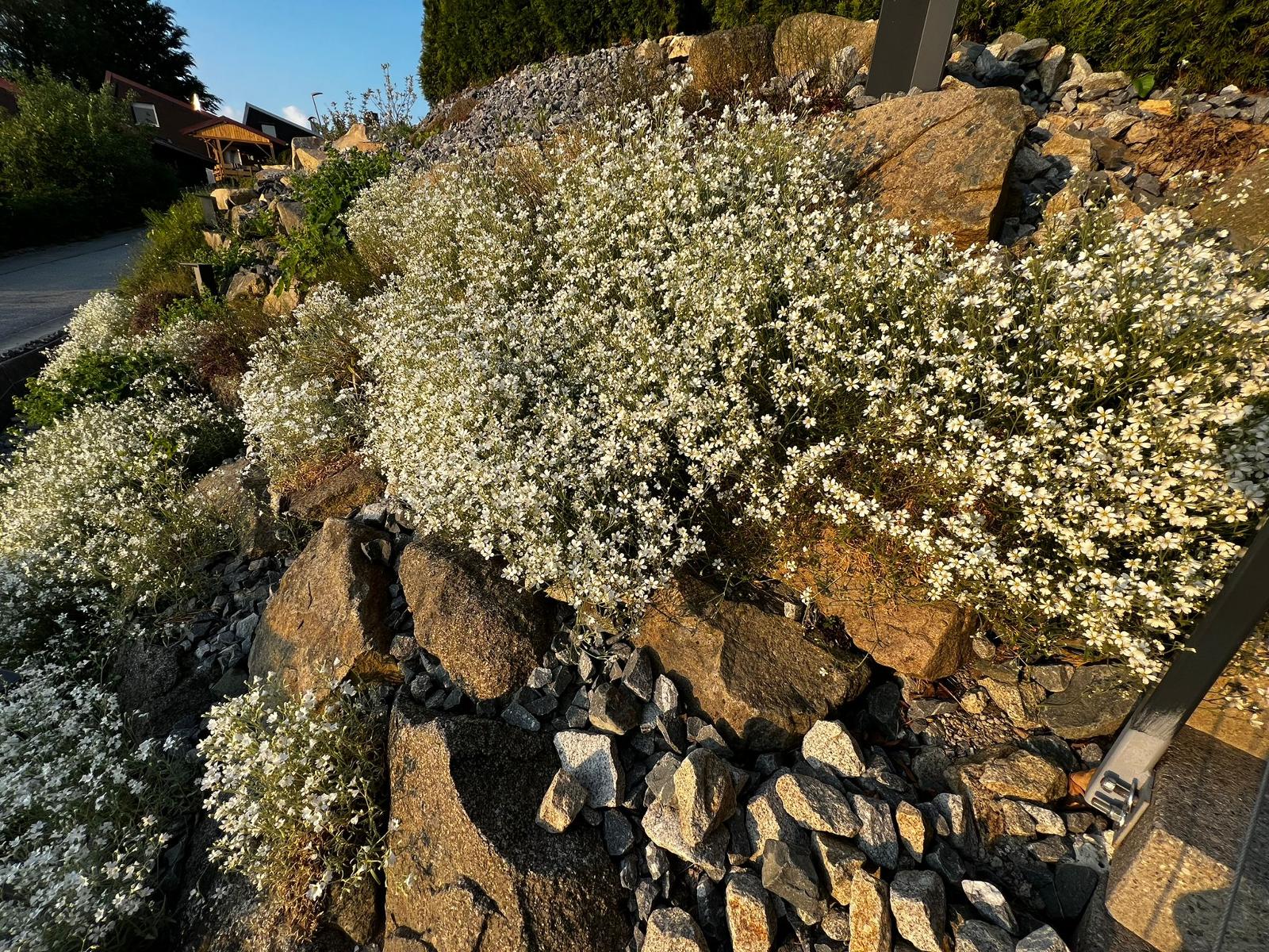 Chalet Bozen in Freyung
