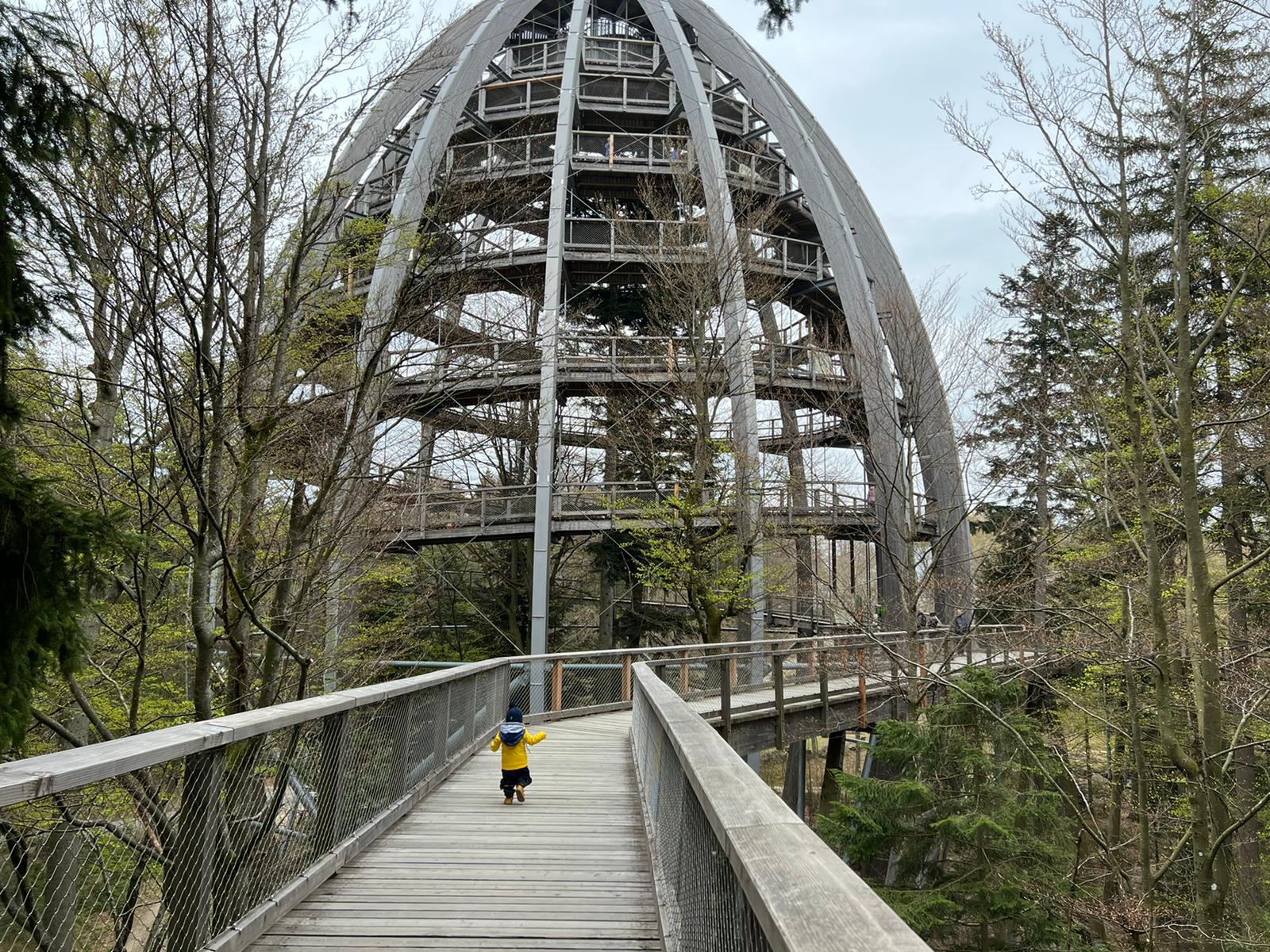 Ferienwohnungen Bayerischer Wald mit Pool in Freyung