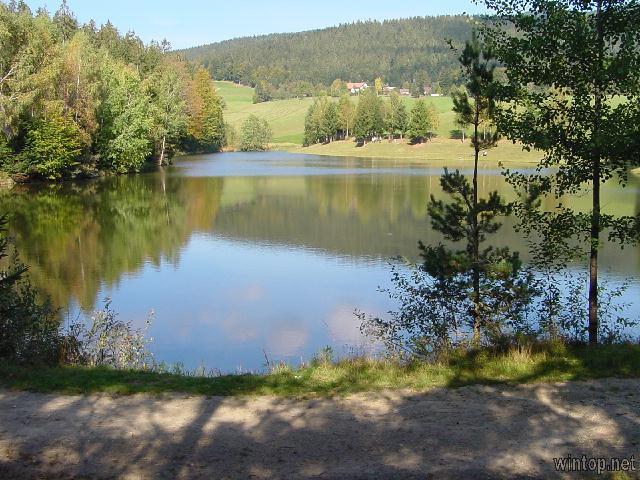 Haus Peschl  in Neureichenau