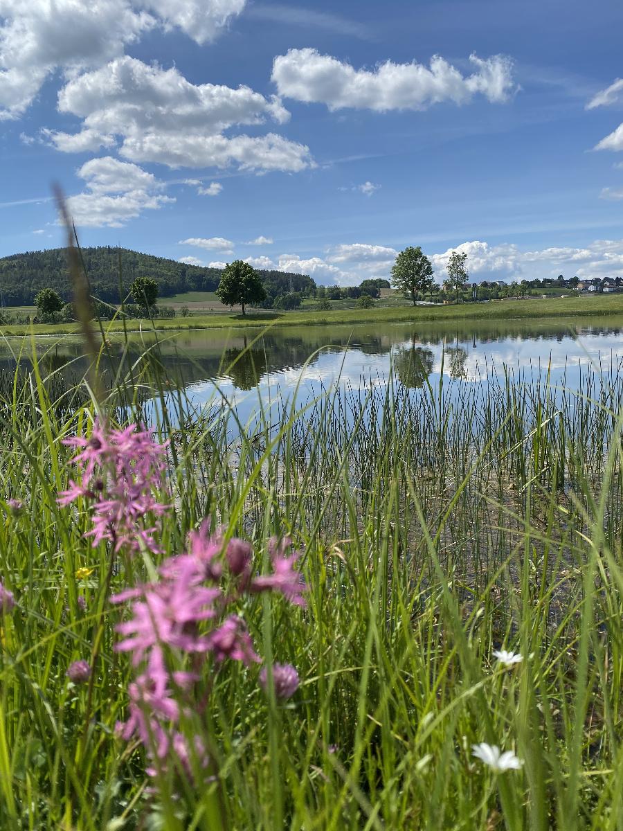 Naturspiel in Pösing
