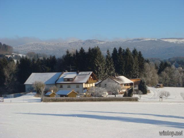 Beim Bergler in Neureichenau