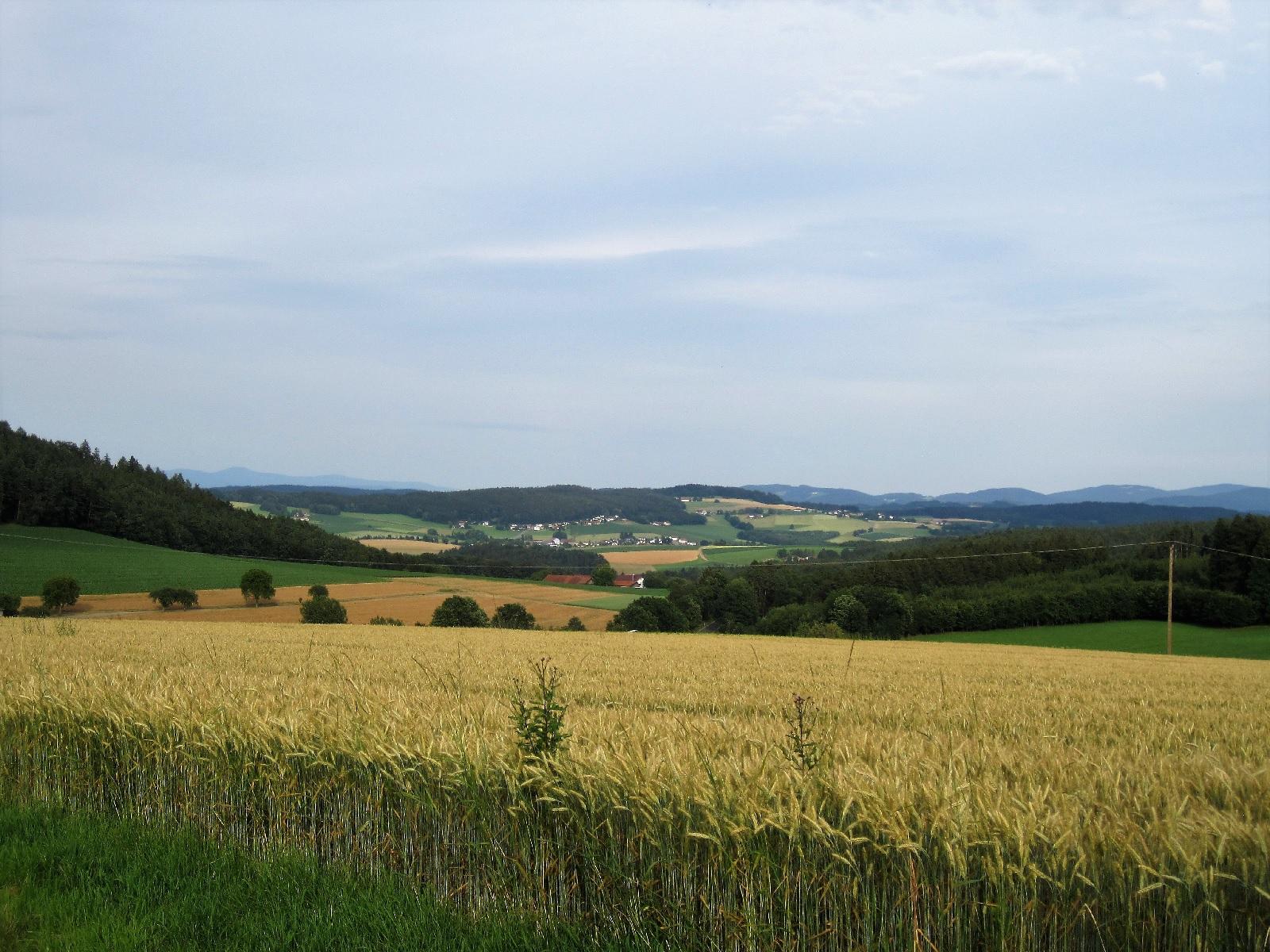 Gschwandnerhof  in Michelsneukirchen