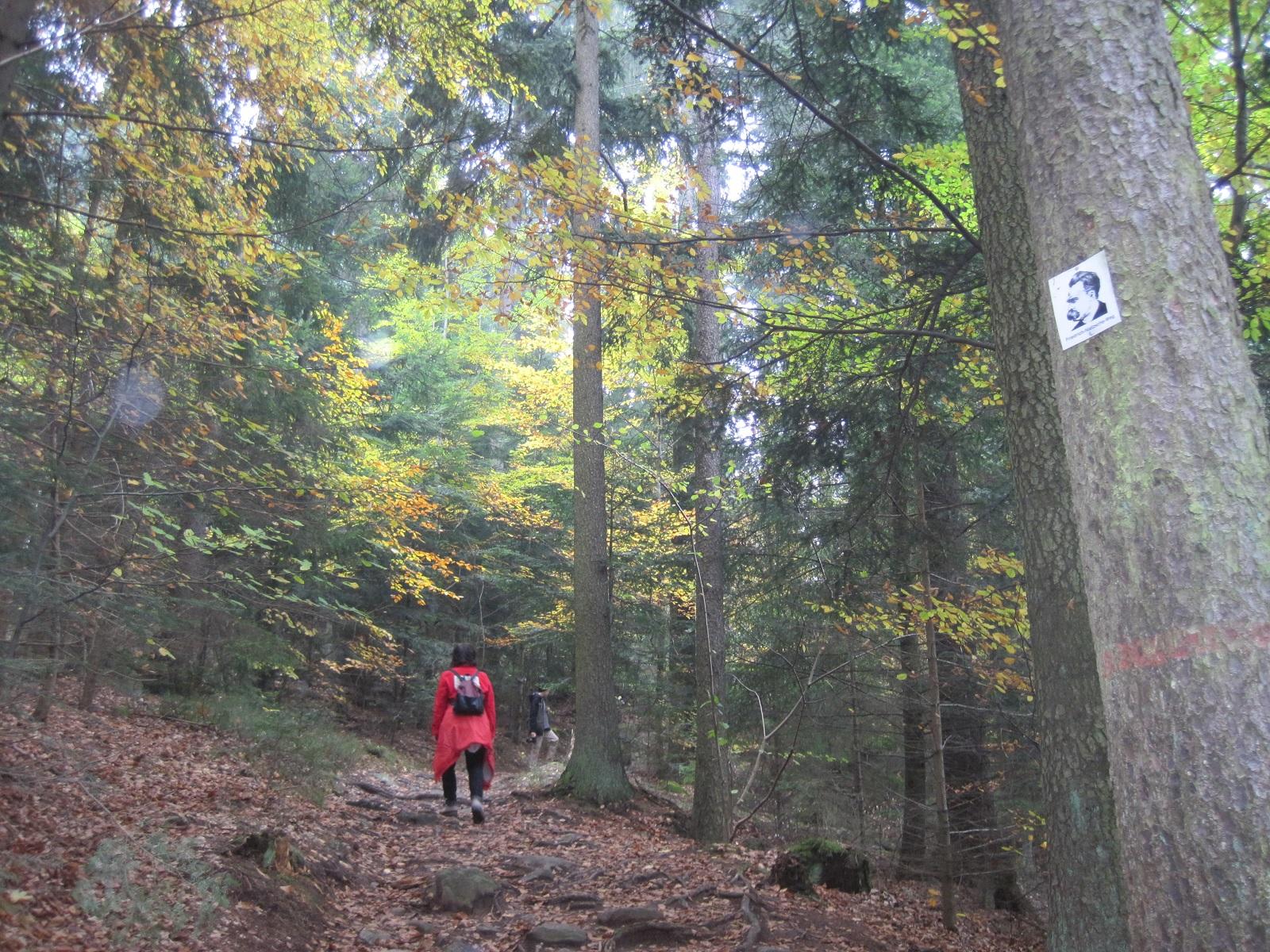 Gschwandnerhof  in Michelsneukirchen