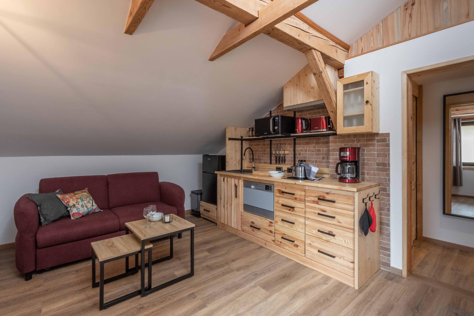Ski-Bike Apartment-