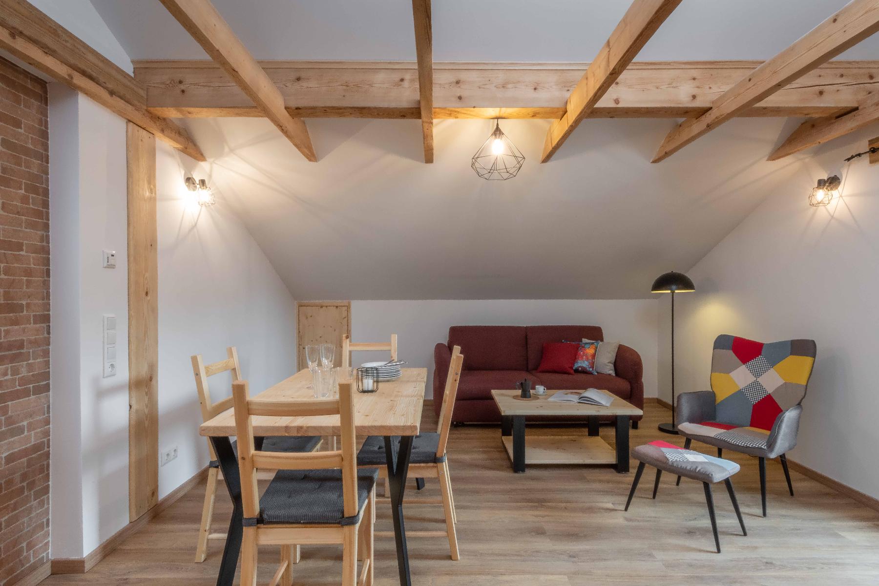 Ski-Bike Apartment-