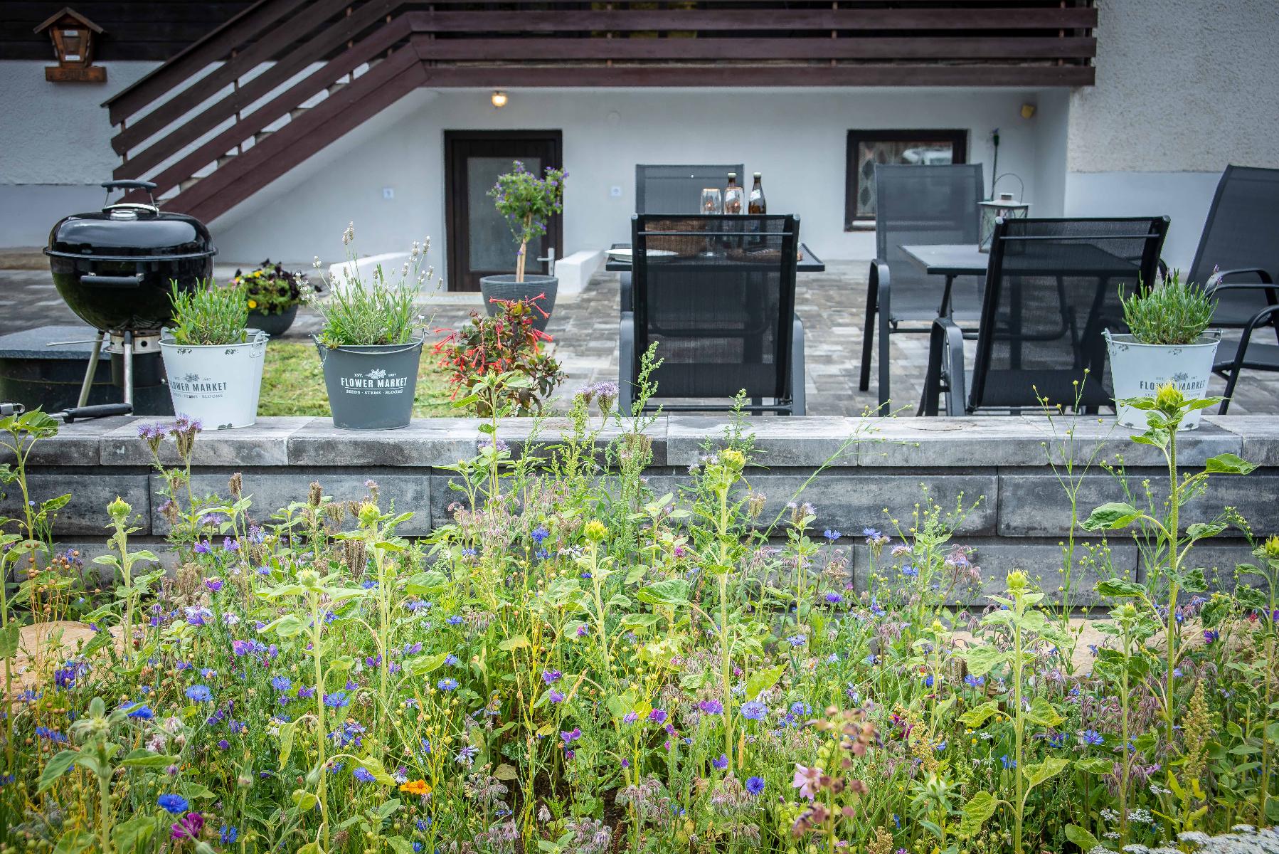 Ski-Bike Apartment in Lohberg