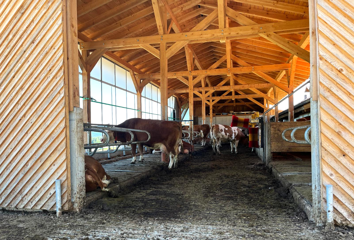 Landgasthof Blasini - Pfahlhof in Zandt