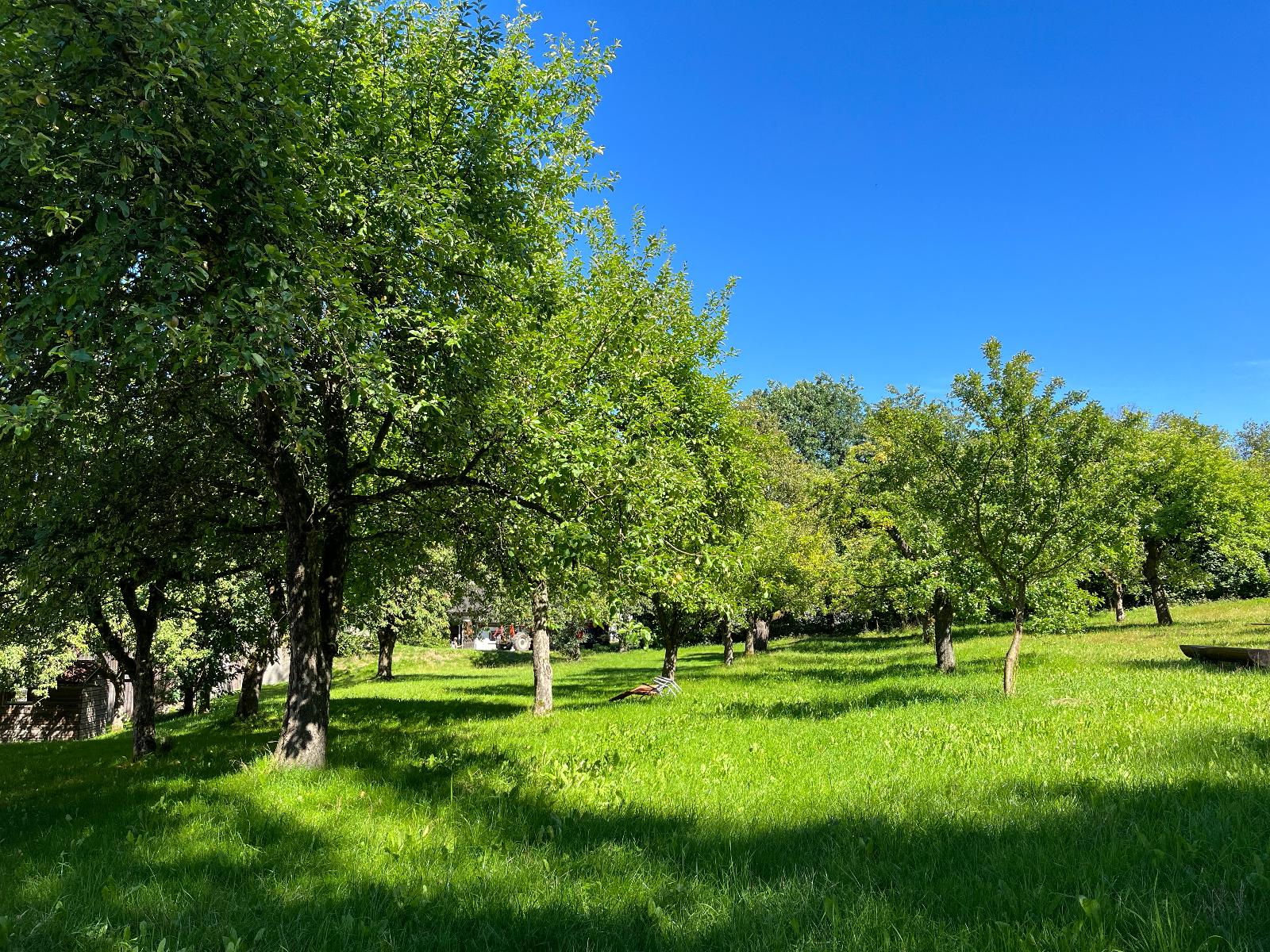Landgasthof Blasini - Pfahlhof in Zandt