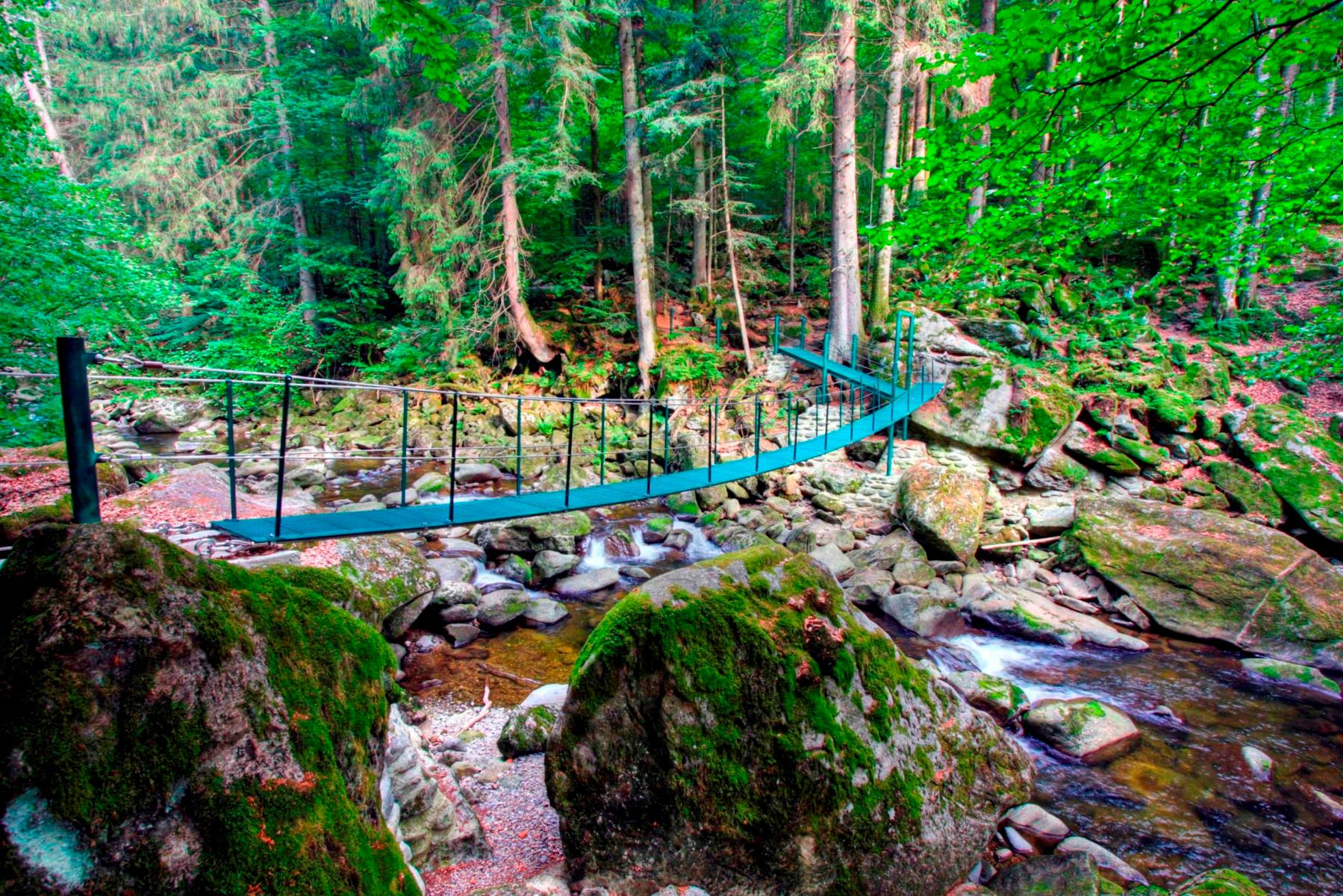 Hütte 19 in Freyung