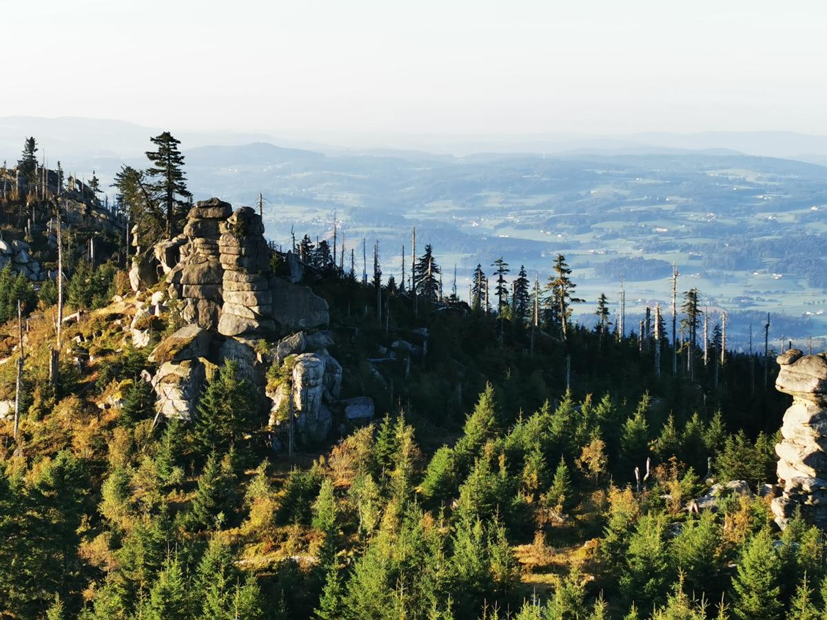 Ferienwohnung am Woid in Waldkirchen