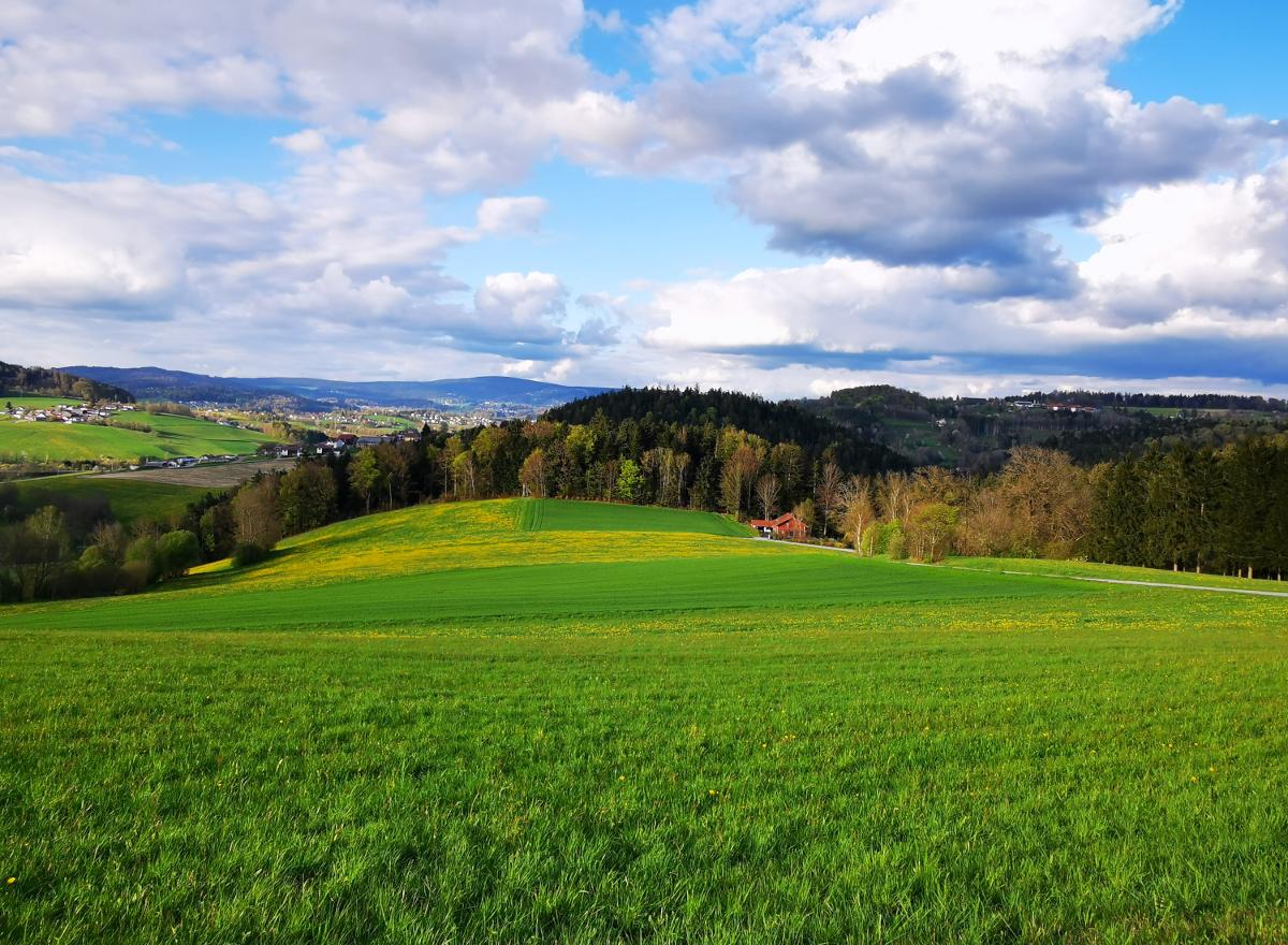 Ferienwohnung am Woid in Waldkirchen