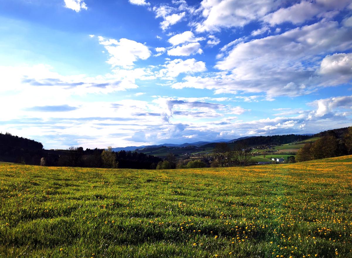Ferienwohnung am Woid in Waldkirchen
