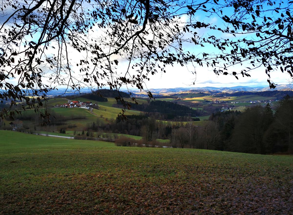 Ferienwohnung am Woid in Waldkirchen