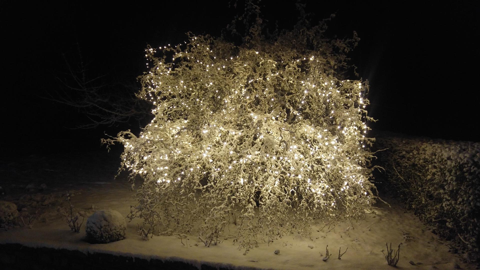 Ferienwohnung Seidl in Waffenbrunn