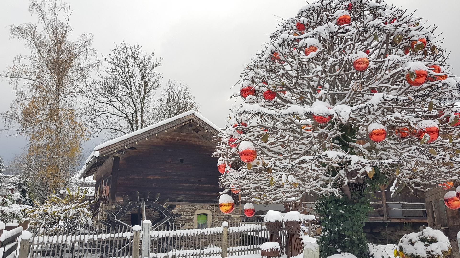 FeWo H.Reußwig in Arrach