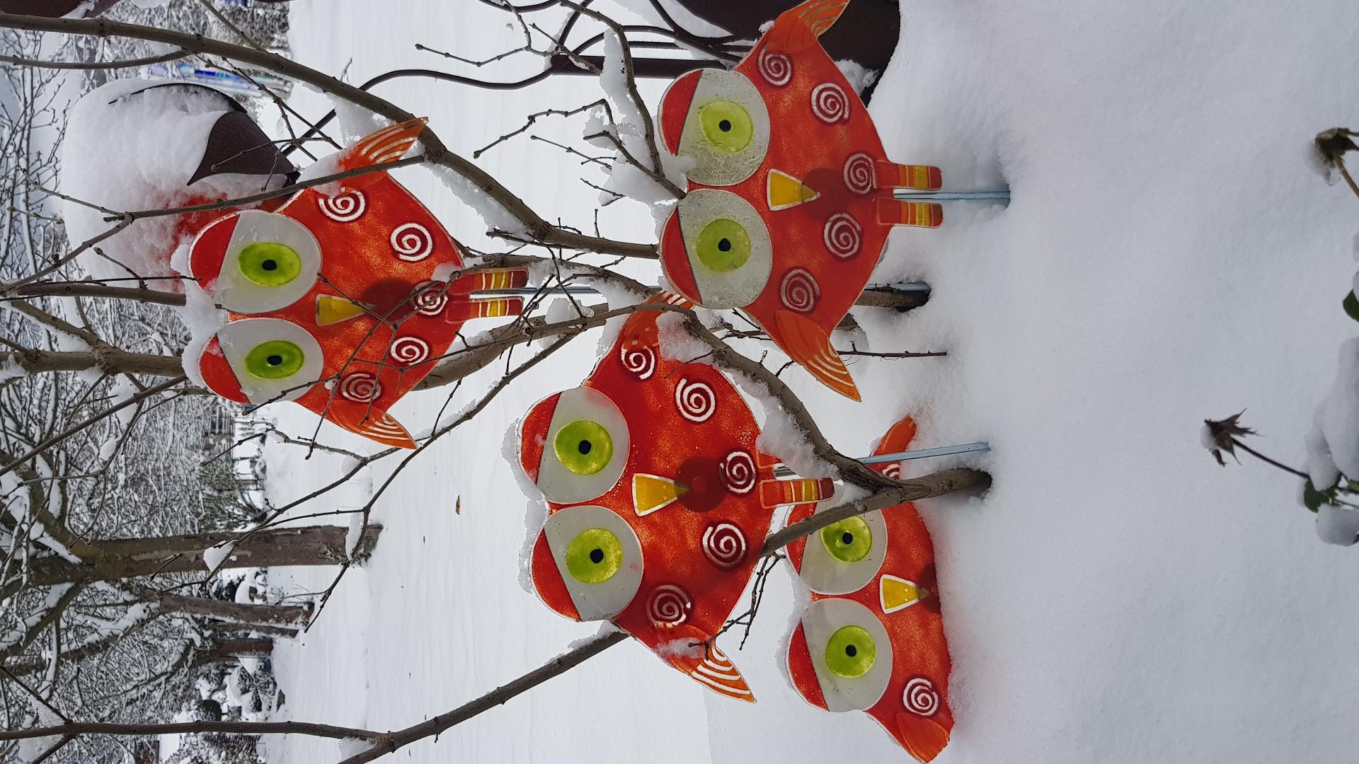 FeWo H.Reußwig in Arrach